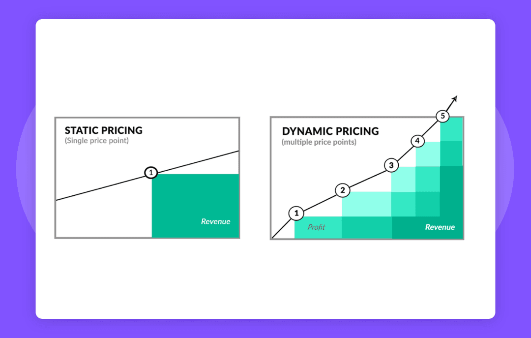 Dynamic pricing interface for an online retail store